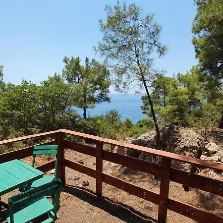Kara Dere Park Orman * Karadere (Aegean)