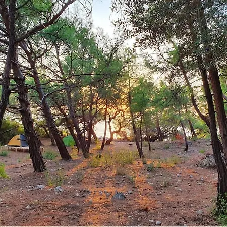 Kara Dere Park Orman