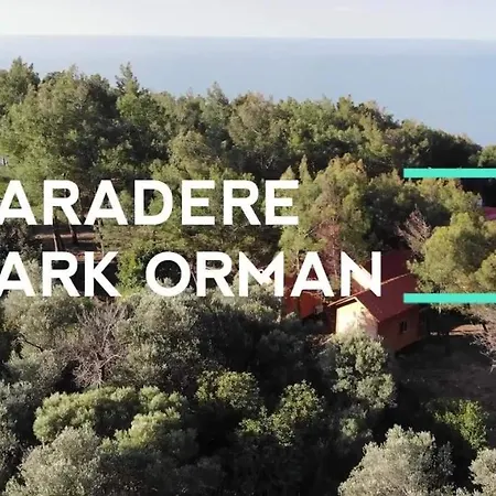 Kara Dere Park Orman
